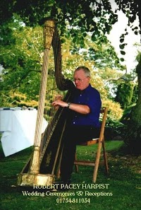 Robert Pacey Wedding Harpist 1076256 Image 0